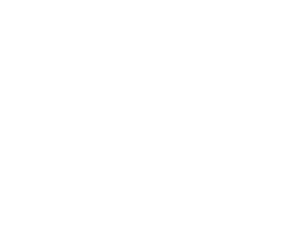 JP PACE Logo